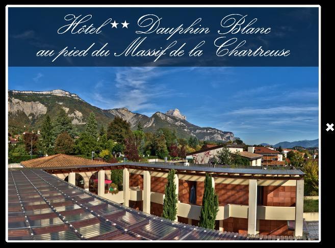 圣伊米耶 Le Dauphin Blanc酒店 外观 照片